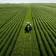 AI and Drones: The Future of Precision Agriculture Unveiled