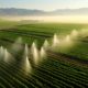 Maximizing Crop Health: Harnessing Drone Irrigation Systems in Precision Agriculture.