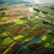 Revolutionizing Farming: Drone Technology Advancements for Agricultural Soil Analysis and Crop Monitoring