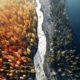 How Drones are Revolutionizing Climate Change Research and Mitigation Strategies